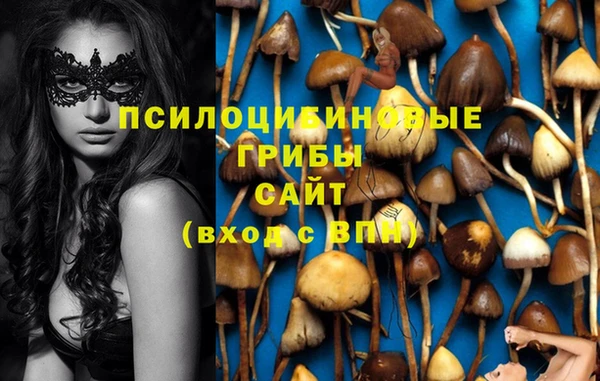 прущая мука Кулебаки